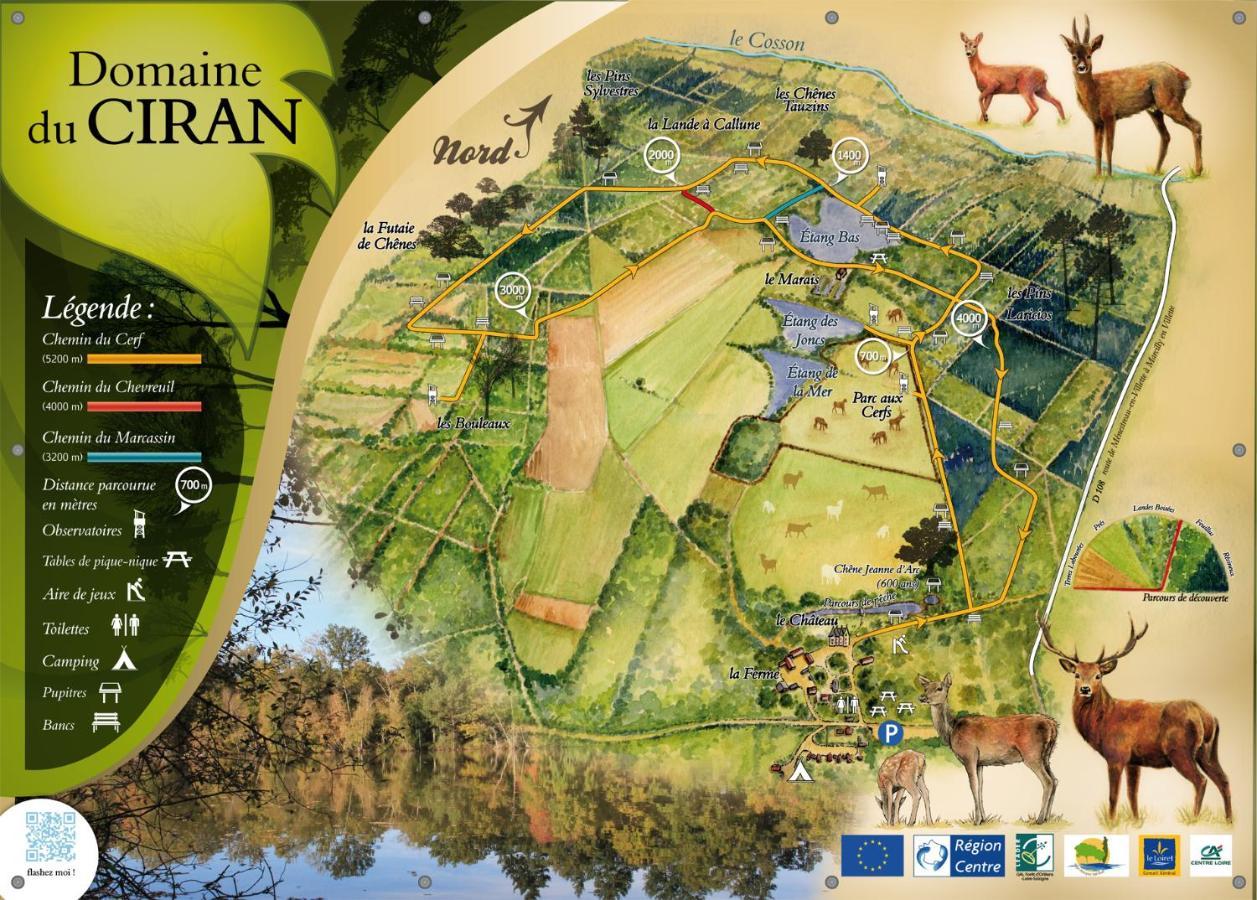 Le Cocoon D'Annabelle - Jolie Maison Avec Jeux Et Grand Jardin Pierrefitte-sur-Sauldre ภายนอก รูปภาพ